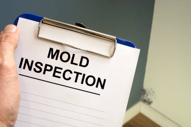 Best Indoor Air Quality Assessment  in North Apollo, PA